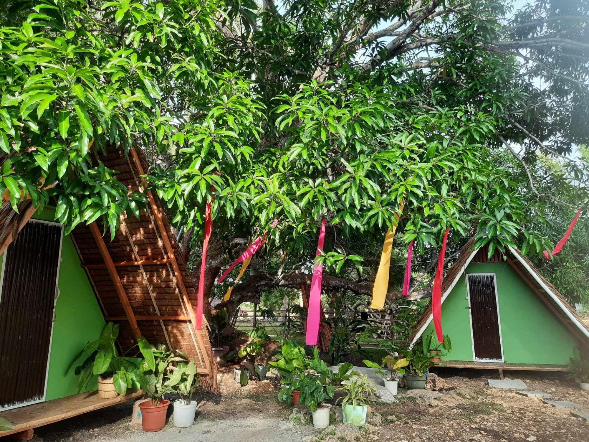 Lagkaw Uno In Lagkaw Homestay Panglao City Exterior foto