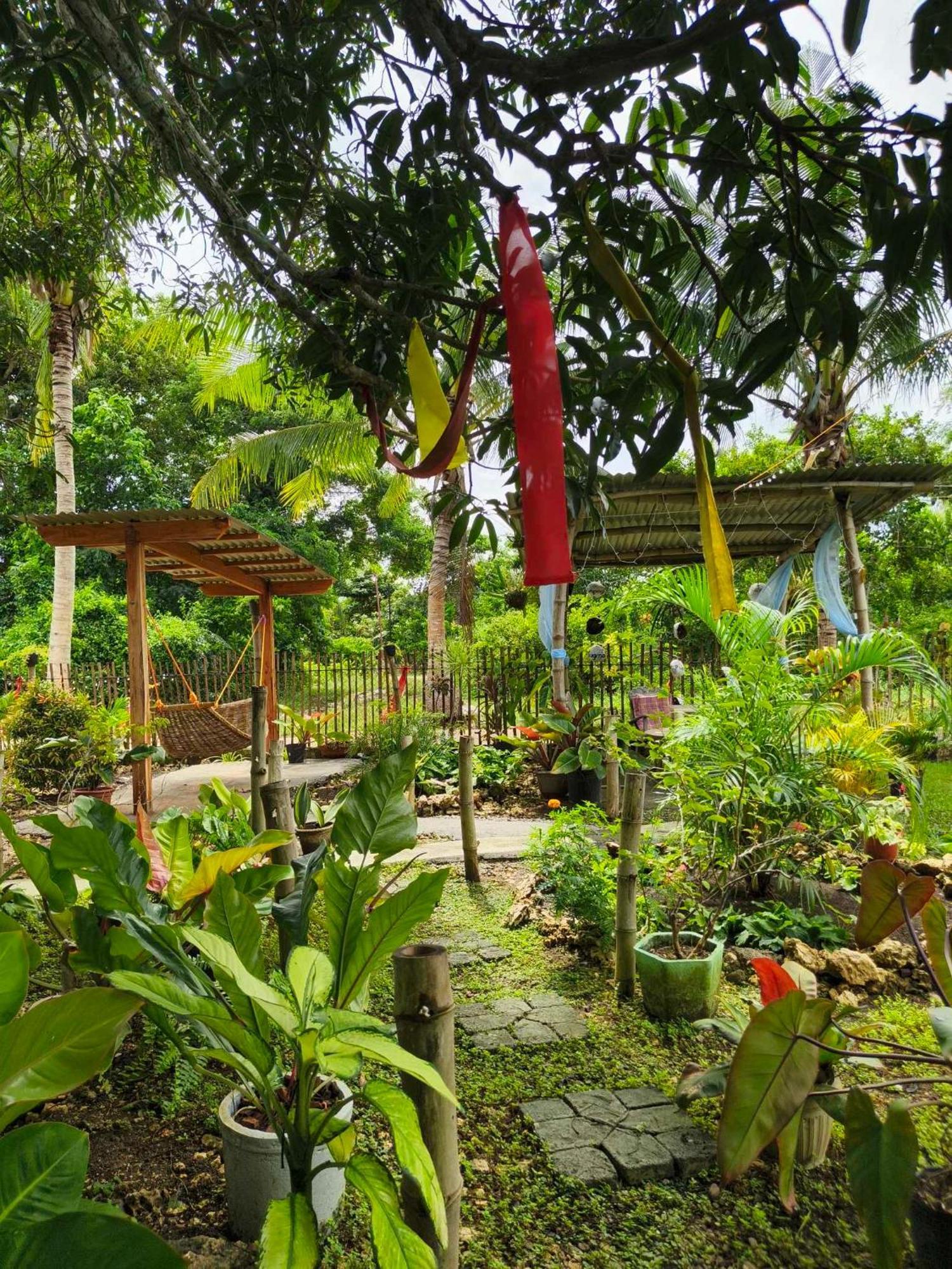 Lagkaw Uno In Lagkaw Homestay Panglao Exterior foto